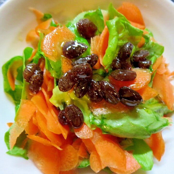 レーズンドレッシングの生野菜サラダ
